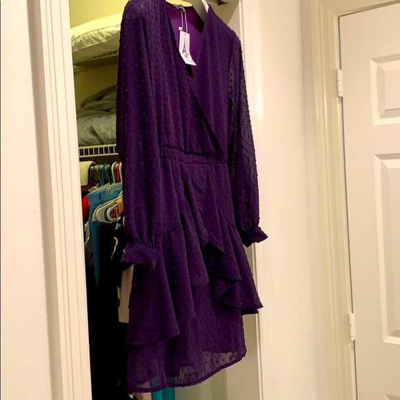 NWT Swiss Dot Purple Dress        Size: Medium - Picture 11 of 13